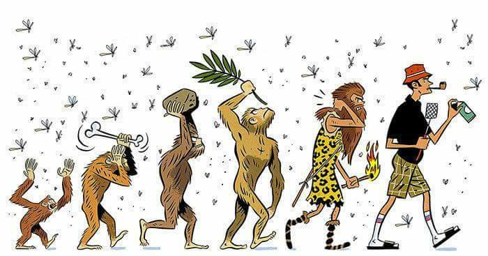 darwinismo-el-estado-de-las-especies-en-la-colonia